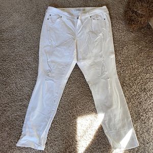 Torrid de stressed jeans